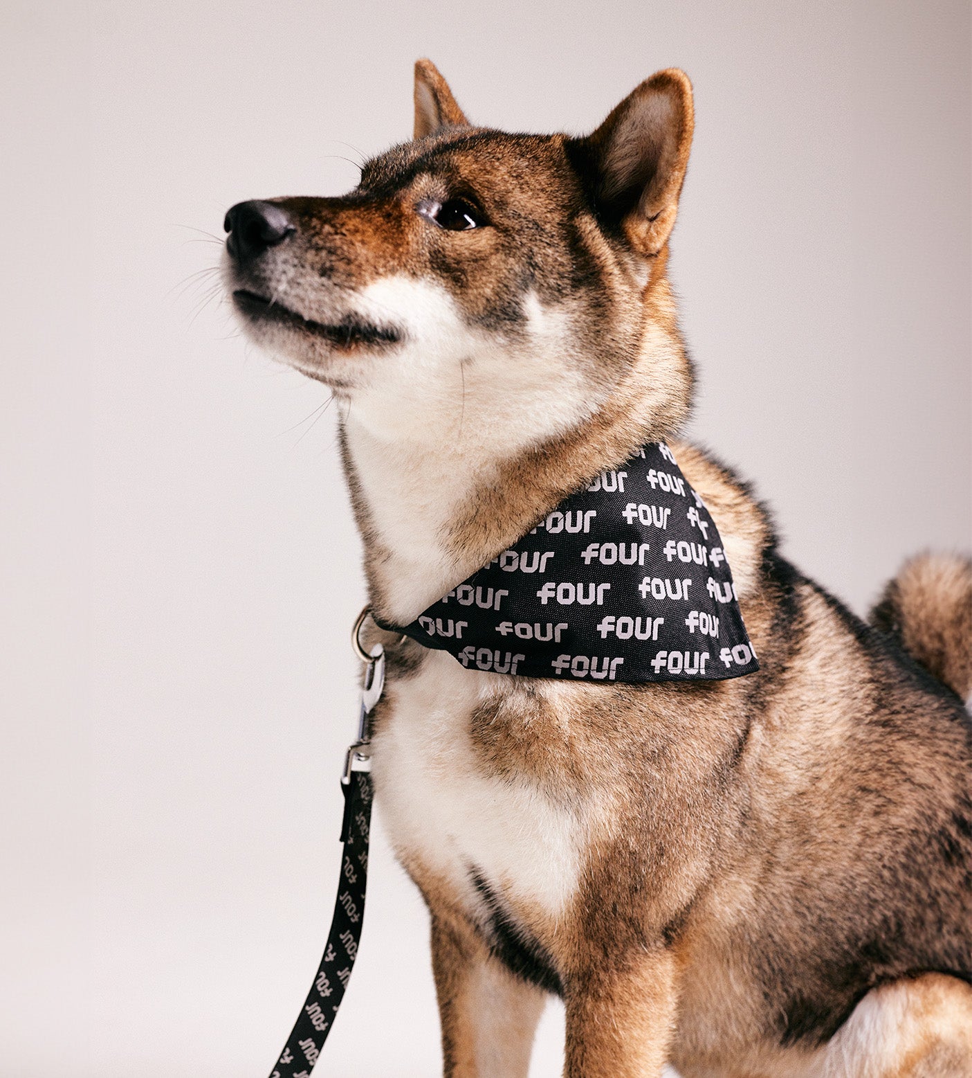 FOUR Pets Bandana Black