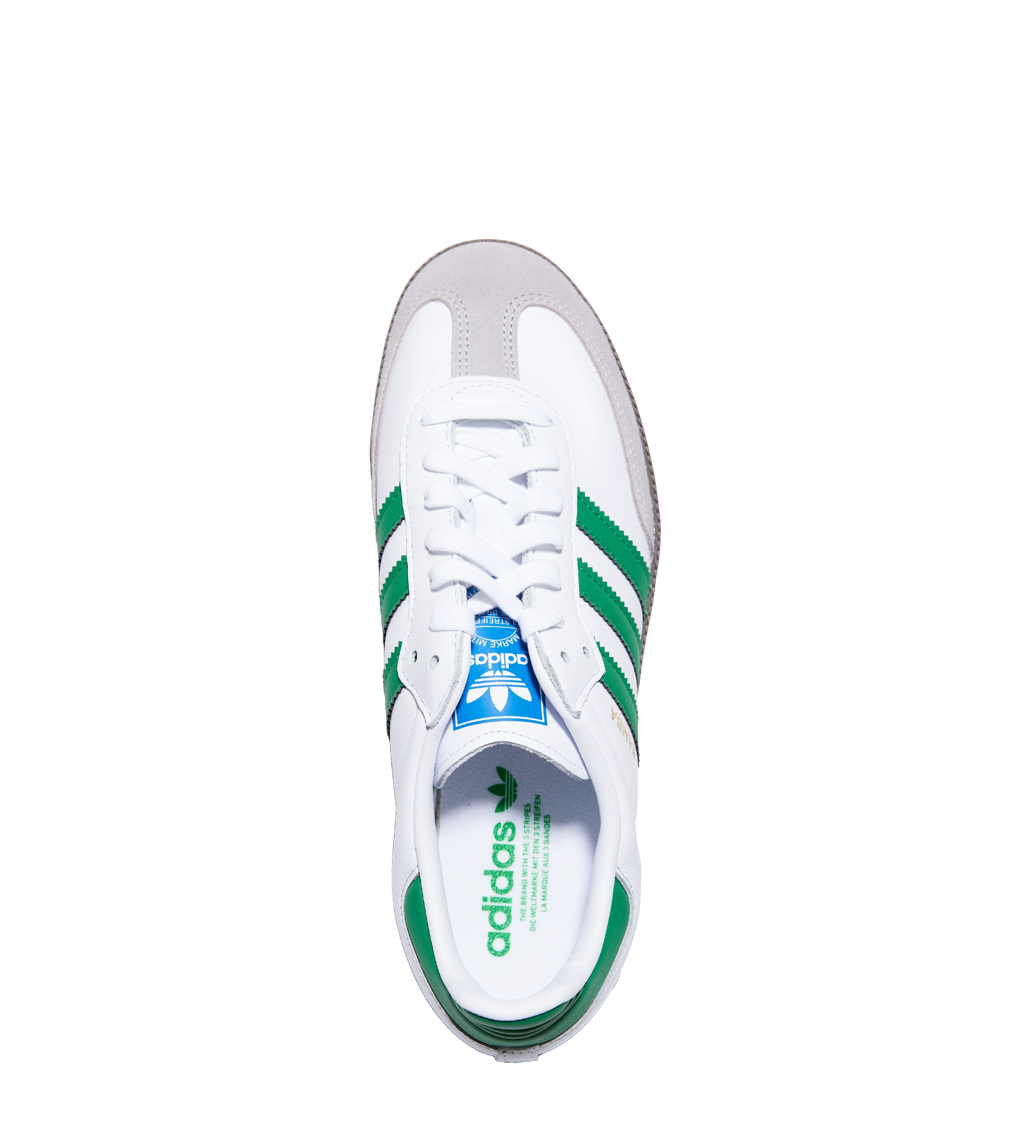 Samba White